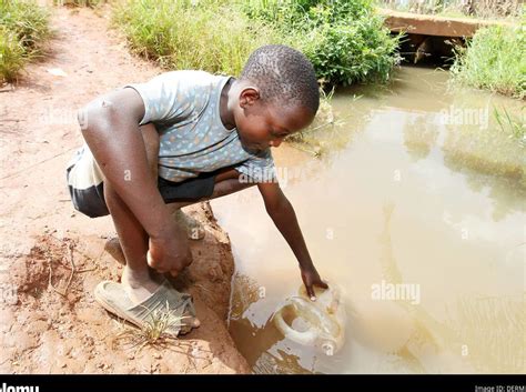 Qu Significa So Ar Con Peces En Agua Sucia Descubre El Significado