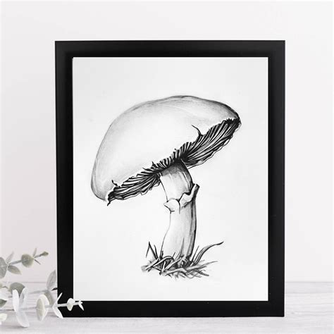 Original Mushroom Drawing, Mushroom Pencil Drawing, Mushroom, Mushroom ...