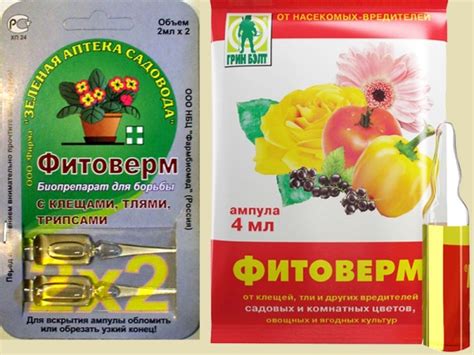Фитоверм: инструкция по применению для комнатных растений