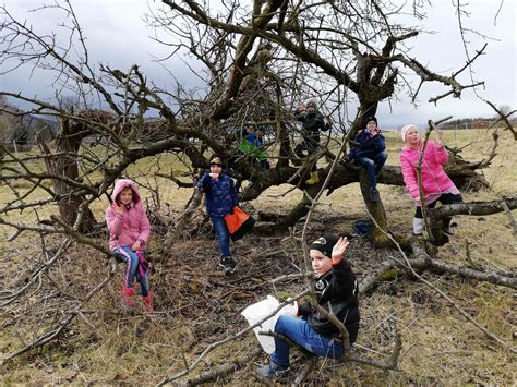 Neues aus dem Förderhort | gernegroß
