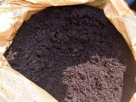 Black Powder Compost Cocopeat Packaging Type Bag Packaging Size