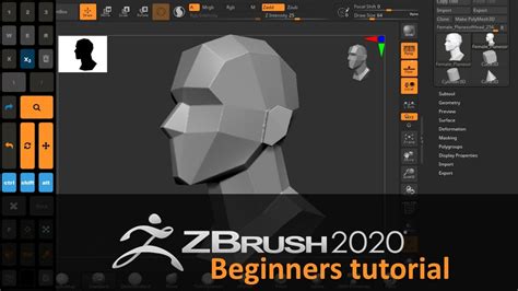 Zbrush Tutorial Beginner