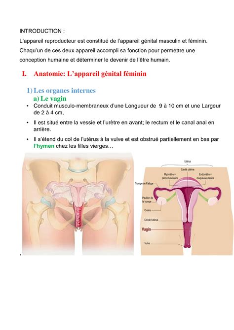 SOLUTION Appareil Reproducteur Studypool