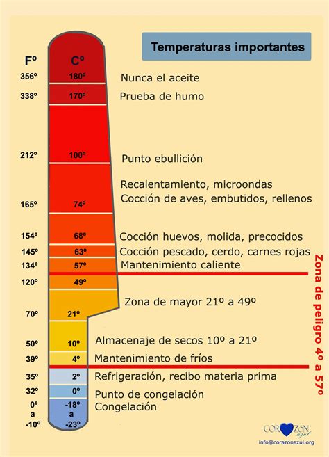 Coccion De Huevos Temperatura Frituras