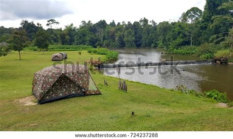 Tent Camping Khao Yai National Park Stock Photo 724237288 | Shutterstock