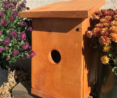House Finch Birdhouse : 9 Steps (with Pictures) - Instructables