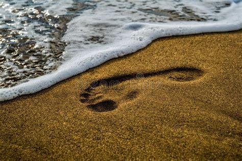 Footprint On The Sea Beach Stock Image Image Of Sandy 108059007