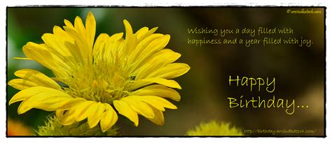 Beautiful Yellow Flower Birthday Card Wishing You A Day Filled With