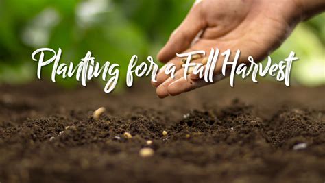 Planting for a Fall Harvest | The Growing Place