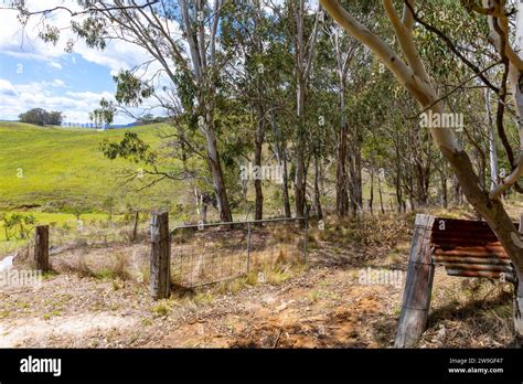 Rural australia farming land in central west NSW, with farmers metal gate and timber posts ...