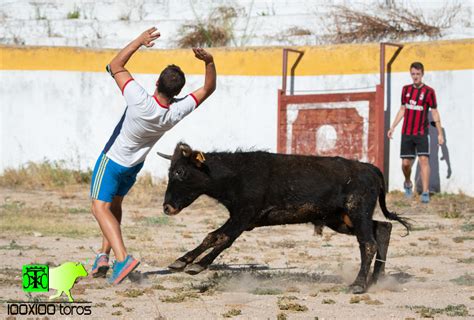 X Toros Capea En La Plaza De Toros De Pastrana