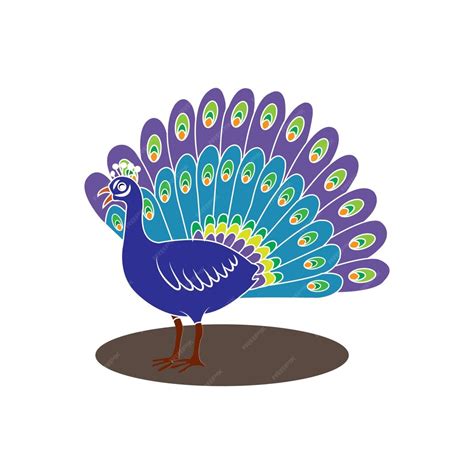 Premium Vector Peacock Bird Vector Icon