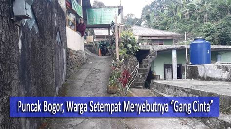 Puncak Bogor Gang Cinta YouTube