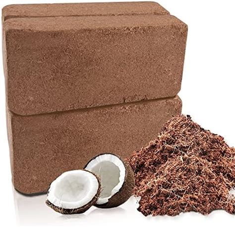 Amazon Coco Coir Brick 8 PCS 100 Natural Organic Compressed