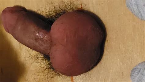 Ball Busting And Trampling His Cock Amateur Porn Feat Miss Sock Trampler XHamster