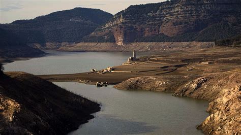 Investiguen L Aca Per Les Reduccions Dels Cabals Ecol Gics