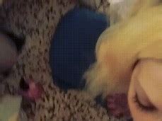 Massive Faciale Cumshot And Swallows Cum Porn Pornhub