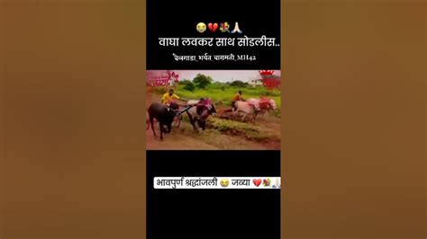 भावपुर्ण श्रध्दांजली जब्या 😭😔🥺बैलगाडाशर्यतमहाराष्ट्र नादएकच