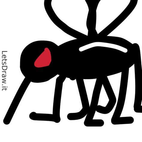 How To Draw Mosquito O Kqkidp Png Letsdrawit