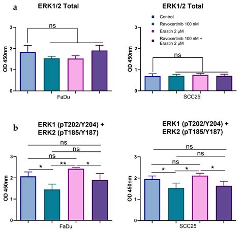 Cells Free Full Text Erk1 2 Dependent HNSCC Cell Susceptibility To