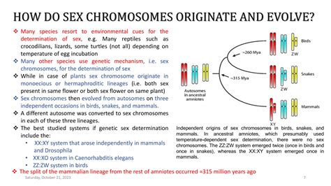 Sex Chromosomes Evolution Pptx