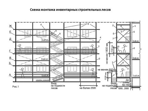 Инвентарные леса: Леса инвентарные: что это такое, их особенности и ...