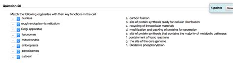 Solved Match the following organelles with their key | Chegg.com