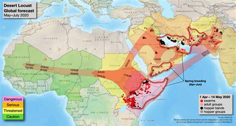 CAHFS Weekly Update: The worst desert locust crisis | Center for Animal ...