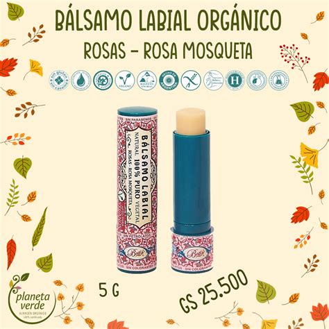 B Lsamo Labial Org Nico De Rosas Y Rosa Mosqueta Planeta Verde