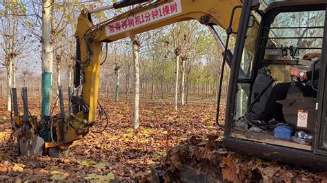 Digger Tree Spade Forest Tree Moving Machine For Labor Saving Removal