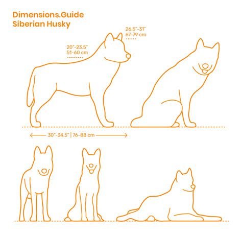 brittany dimensions drawings dimensionscom