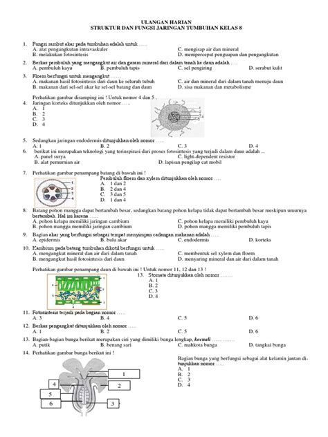 Soal Struktur Dan Fungsi Tumbuhan Kelas 8