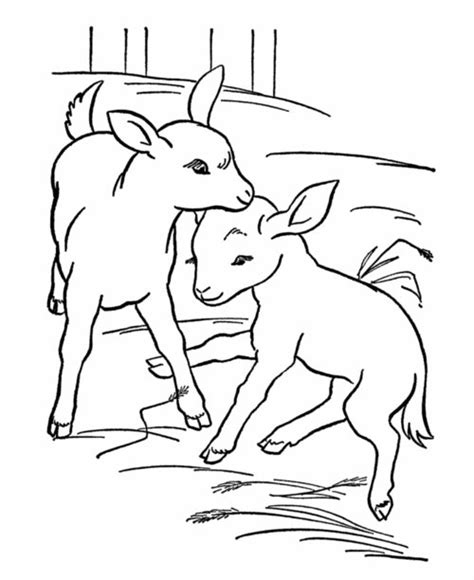 Baby Farm Animals Coloring Pages For Kids >> Disney Coloring Pages