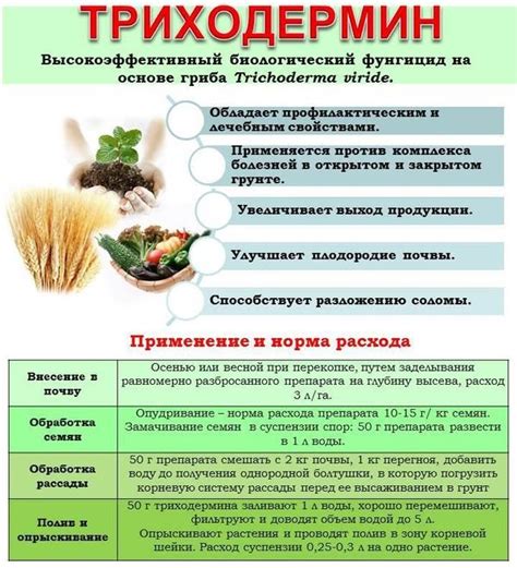 Триходермин - инструкция по применению для растений и отзывы