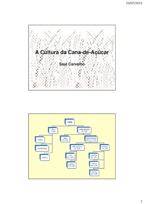 PDF A Cultura da Cana de Açúcar saulcarvalho br secagem e