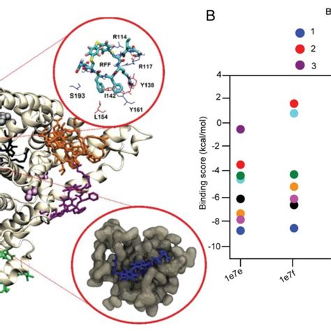 Docking Calculations For PFS SICRFFCGGG 5c And HSA Protein A HSA