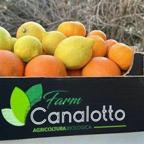 Agrumes Siciliens Biologiques Vendre Canalotto Azienda Agricola