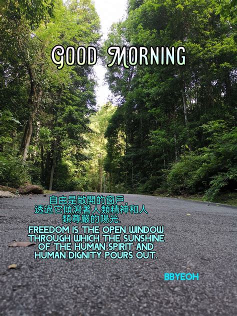 Good Morning Quote Morning Quotes Human Dignity Open Window Freedom