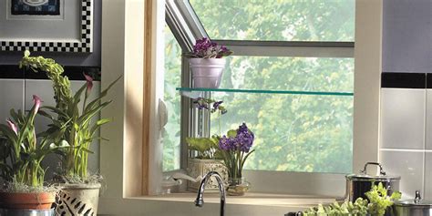 Everything You Need to Know About Kitchen Garden Windows