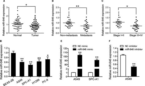 Mir‐646 Is Downregulated In Nsclc Tissues And Cell Lines A Qrt‐pcr