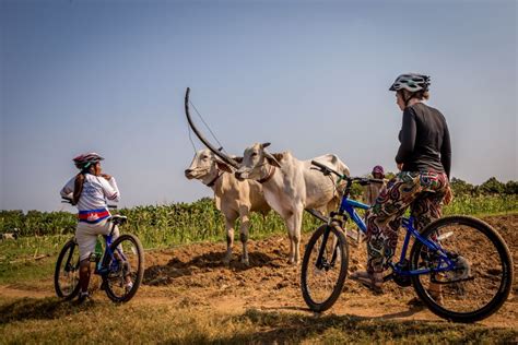 Phnom Penh Mekong Islands Silk Islands Guided Bike Tour