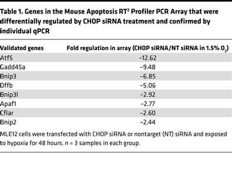 JCI Insight Localized Hypoxia Links ER Stress To Lung Fibrosis