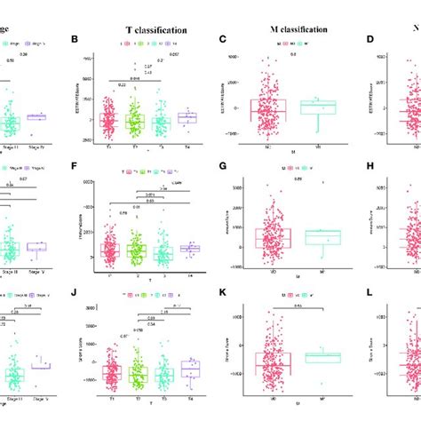 Correlation Of Estimate Score Immune Score And Stromal Score With