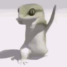 Dancing Lizard GIFs | Tenor