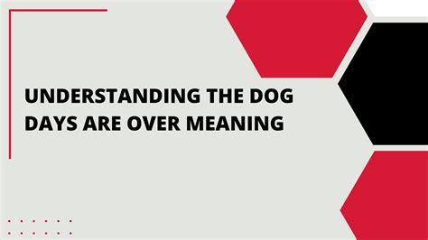 Understanding the Dog Days are Over Meaning