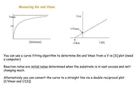 enzymes kinetics powerpoint    id