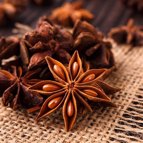 Star Anise Seeds Illicium Verum Spice Strong Licorice Like