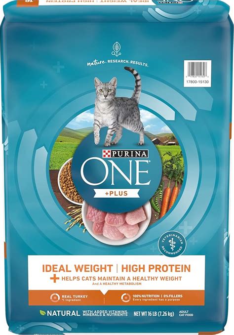 The 7 Best High-Protein Cat Foods: Reviews and Our Top Picks