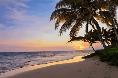 Tropical Beach Sunset · Creative Fabrica