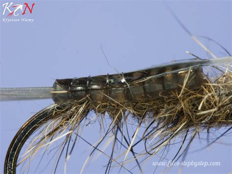 Evolution Stonefly Nymph Tied On Hemingway Materials How To Tie Fly